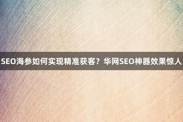 SEO海参如何实现精准获客？华网SEO神器效果惊人