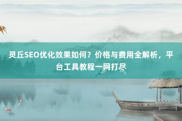 灵丘SEO优化效果如何？价格与费用全解析，平台工具教程一网打尽