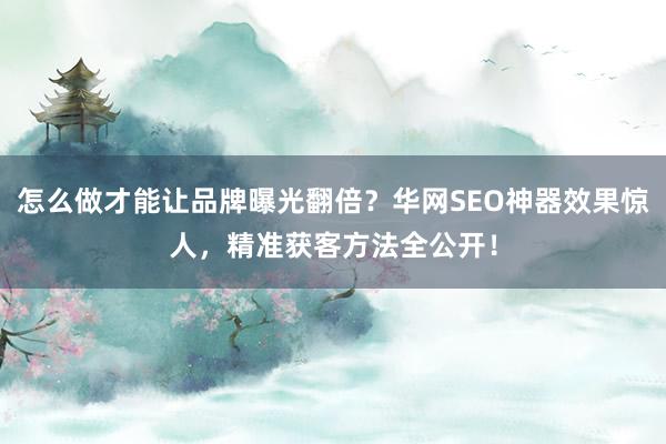 怎么做才能让品牌曝光翻倍?华网SEO神器效果惊人,精准获客方法全公开!