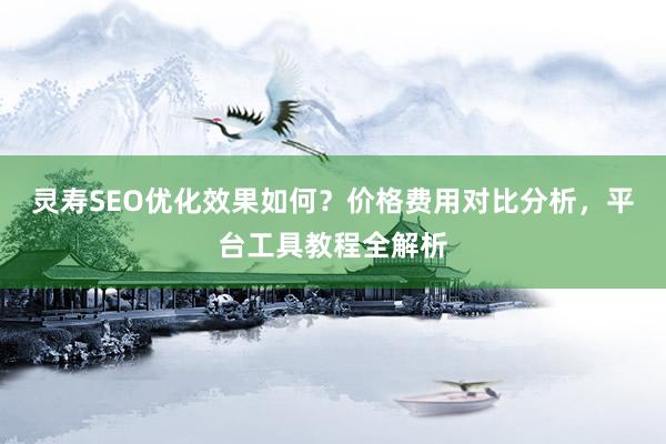 灵寿SEO优化效果如何？价格费用对比分析，平台工具教程全解析