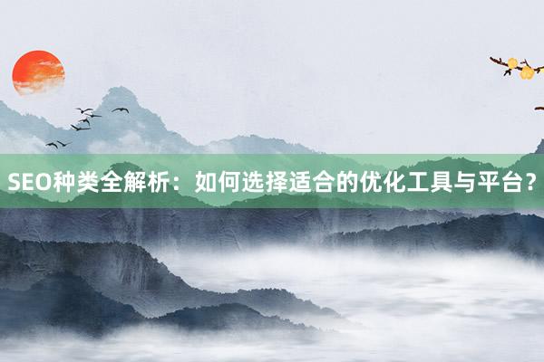 SEO种类全解析：如何选择适合的优化工具与平台？
