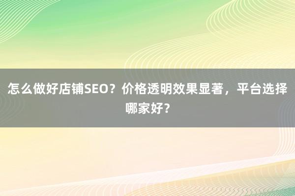 怎么做好店铺SEO?价格透明效果显著,平台选择哪家好?