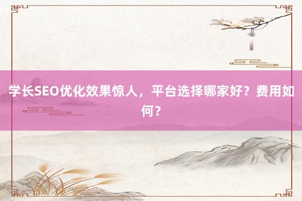 学长SEO优化效果惊人，平台选择哪家好？费用如何？