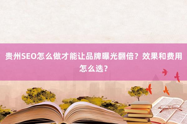 贵州SEO怎么做才能让品牌曝光翻倍？效果和费用怎么选？