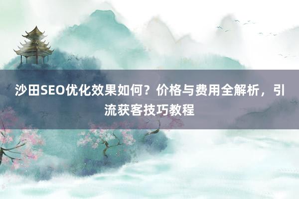 沙田SEO优化效果如何？价格与费用全解析，引流获客技巧教程