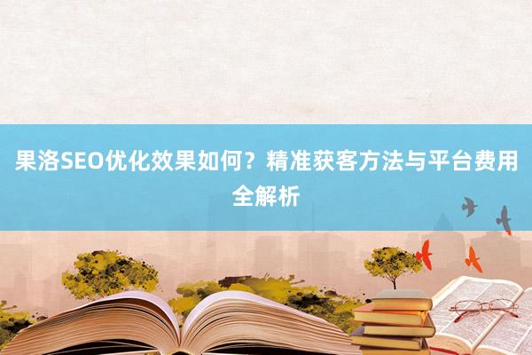 果洛SEO优化效果如何?精准获客方法与平台费用全解析