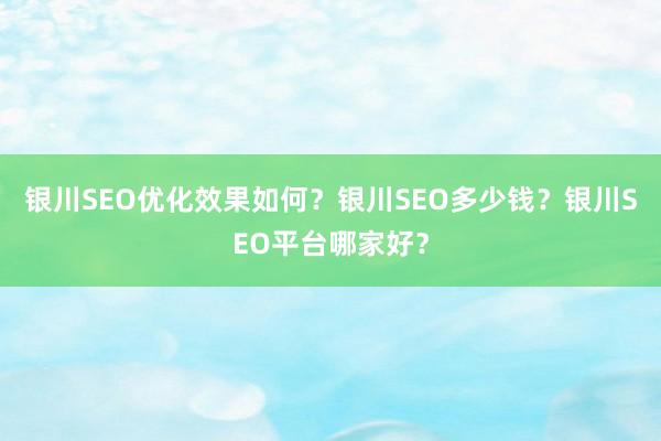 银川SEO优化效果如何?银川SEO多少钱?银川SEO平台哪家好?