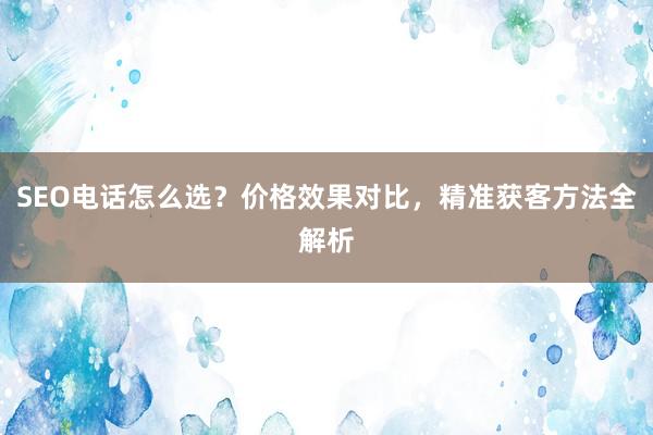 SEO电话怎么选？价格效果对比，精准获客方法全解析