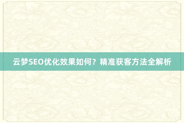 云梦SEO优化效果如何?精准获客方法全解析