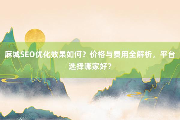 麻城SEO优化效果如何？价格与费用全解析，平台选择哪家好？