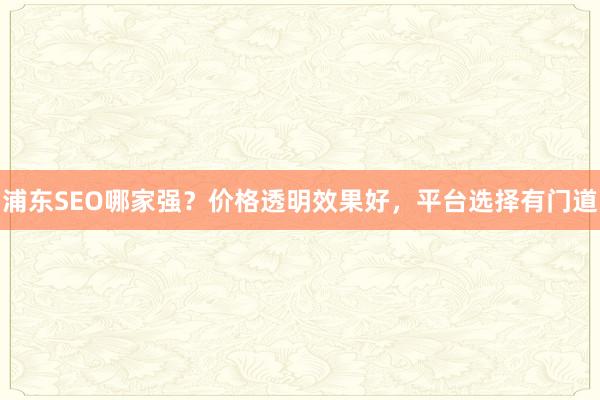 浦东SEO哪家强？价格透明效果好，平台选择有门道