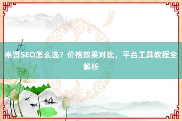 奉贤SEO怎么选？价格效果对比，平台工具教程全解析