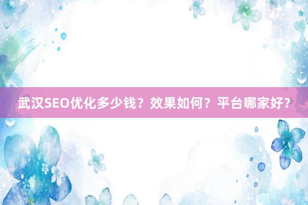 武汉SEO优化多少钱？效果如何？平台哪家好？