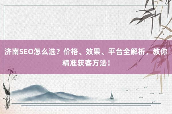 济南SEO怎么选？价格、效果、平台全解析，教你精准获客方法！