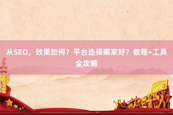 从SEO，效果如何？平台选择哪家好？教程+工具全攻略