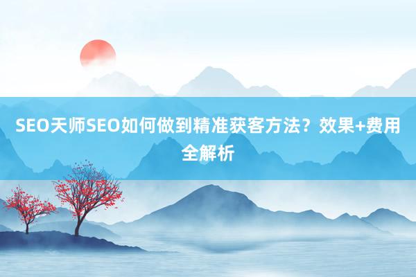 SEO天师SEO如何做到精准获客方法？效果+费用全解析