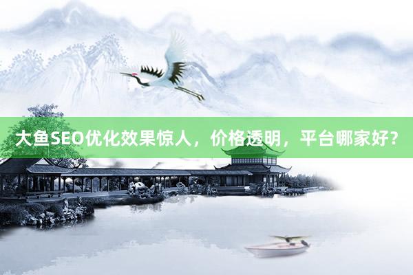 大鱼SEO优化效果惊人,价格透明,平台哪家好?