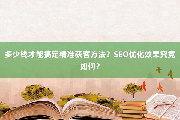 多少钱才能搞定精准获客方法？SEO优化效果究竟如何？