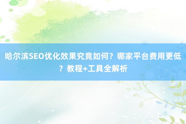 哈尔滨SEO优化效果究竟如何？哪家平台费用更低？教程+工具全解析