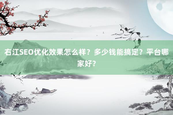 右江SEO优化效果怎么样?多少钱能搞定?平台哪家好?