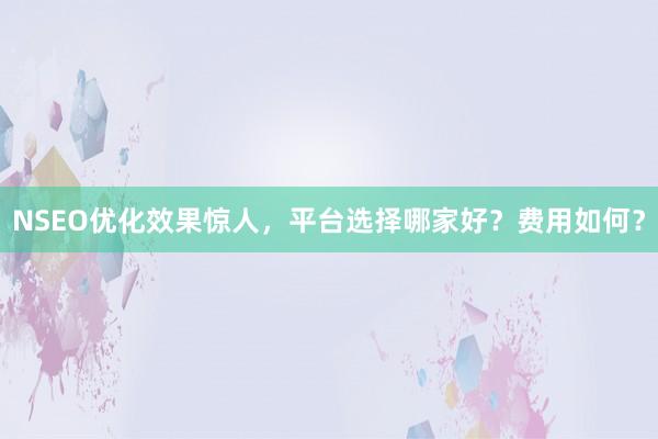 NSEO优化效果惊人,平台选择哪家好?费用如何?