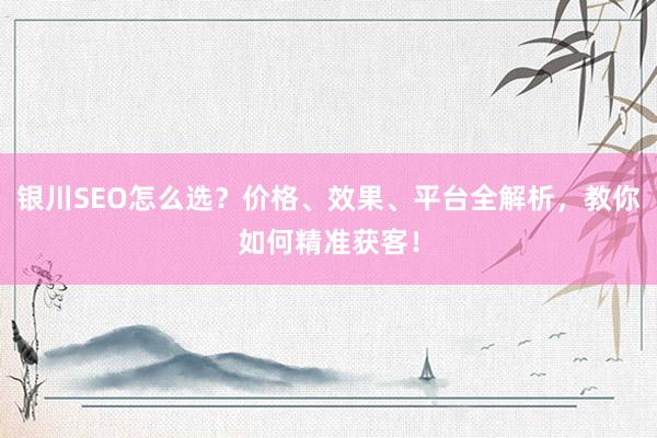 银川SEO怎么选？价格、效果、平台全解析，教你如何精准获客！
