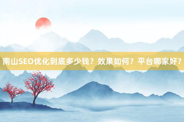 南山SEO优化到底多少钱？效果如何？平台哪家好？