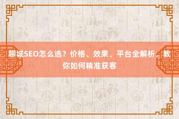 聊城SEO怎么选？价格、效果、平台全解析，教你如何精准获客
