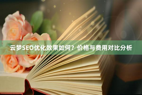 云梦SEO优化效果如何？价格与费用对比分析