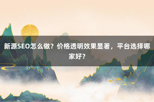 新源SEO怎么做？价格透明效果显著，平台选择哪家好？
