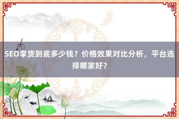 SEO拿货到底多少钱？价格效果对比分析，平台选择哪家好？