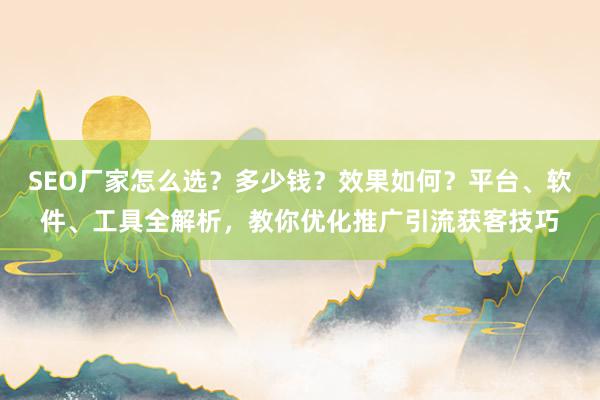 SEO厂家怎么选？多少钱？效果如何？平台、软件、工具全解析，教你优化推广引流获客技巧