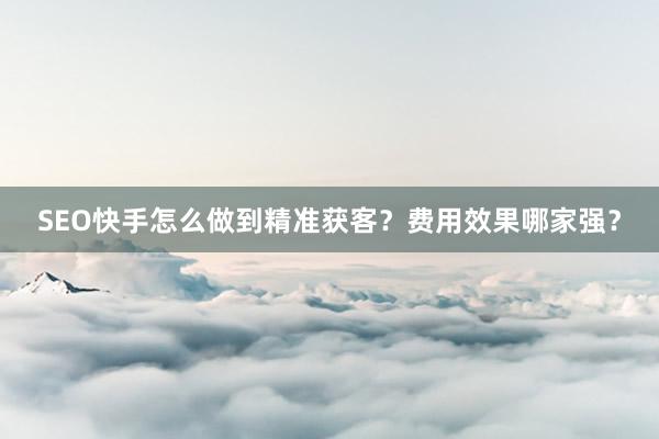 SEO快手怎么做到精准获客？费用效果哪家强？