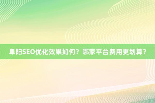 阜阳SEO优化效果如何？哪家平台费用更划算？