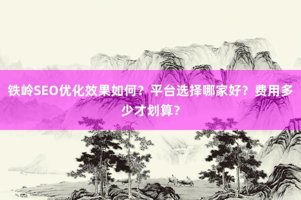 铁岭SEO优化效果如何？平台选择哪家好？费用多少才划算？