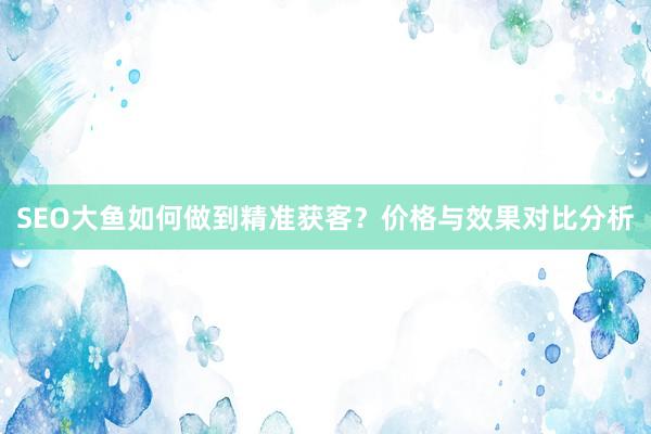 SEO大鱼如何做到精准获客？价格与效果对比分析